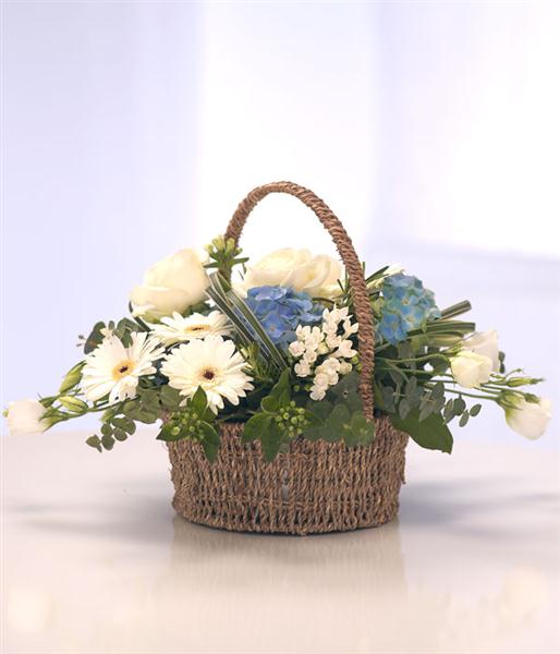 Baby Blue Basket