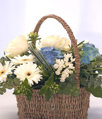 Baby Blue Basket