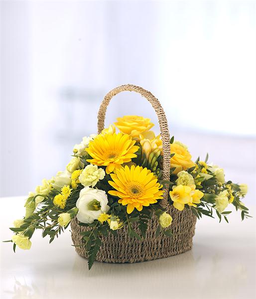 Bright Basket