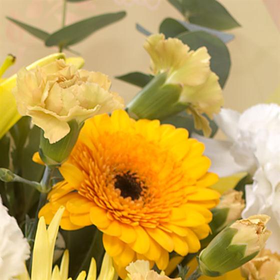 Golden Sunshine Hand-tied