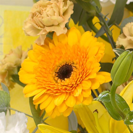 Golden Sunshine Hand-tied