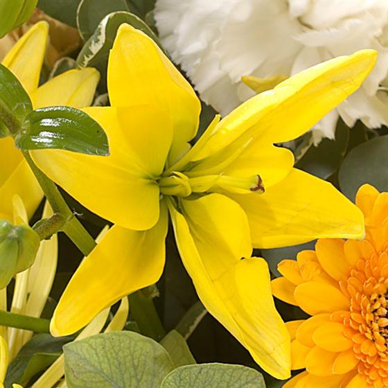 Golden Sunshine Hand-tied