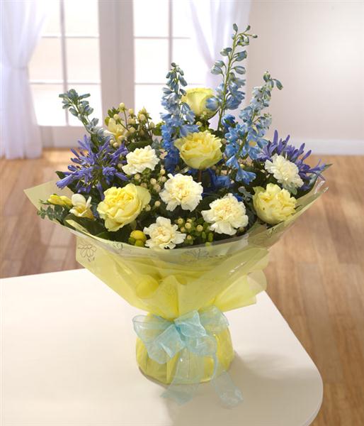 Marie Curie Hand-tied