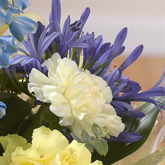 Marie Curie Hand-tied