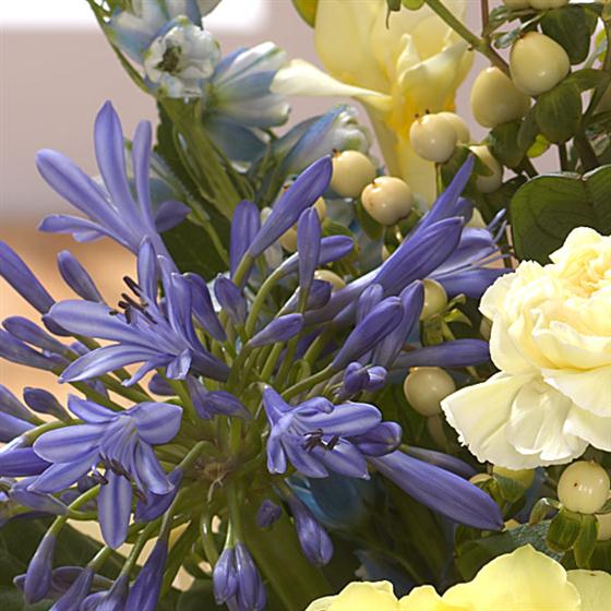 Marie Curie Hand-tied