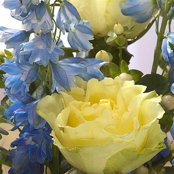 Marie Curie Hand-tied