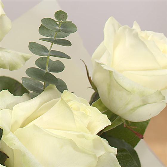 A Dozen White Roses