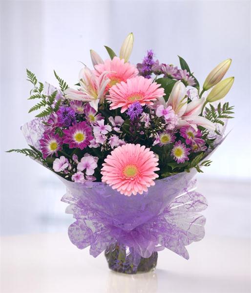 Purple and Pink Haze