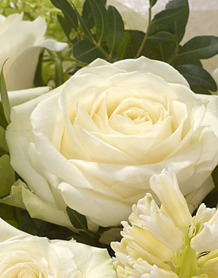 Roses and Carnations Hand-tied