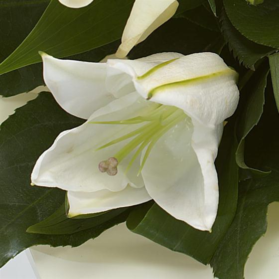 04 - Diamond Birthstone Bouquet (April)