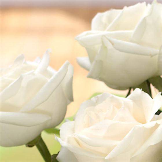 06 - Pearls Birthstone Bouquet (June)