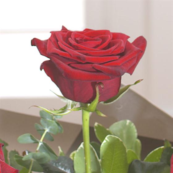 07 - Rubyred Birthstone Bouquet (July)