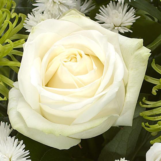 08 - Peridot Birthstone Bouquet (August)