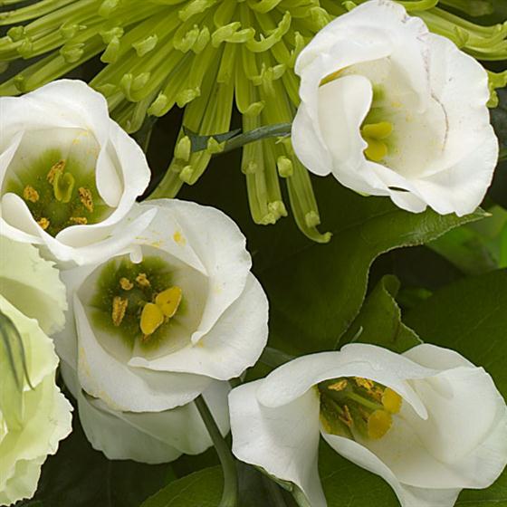 08 - Peridot Birthstone Bouquet (August)