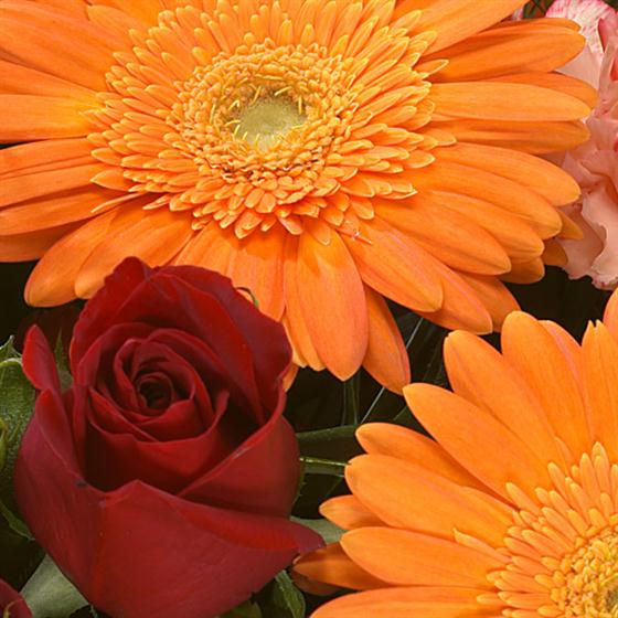 11 - Citrine Birthstone Bouquet (November)