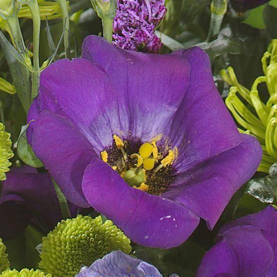 12 - Topaz Birthstone Bouquet (December)