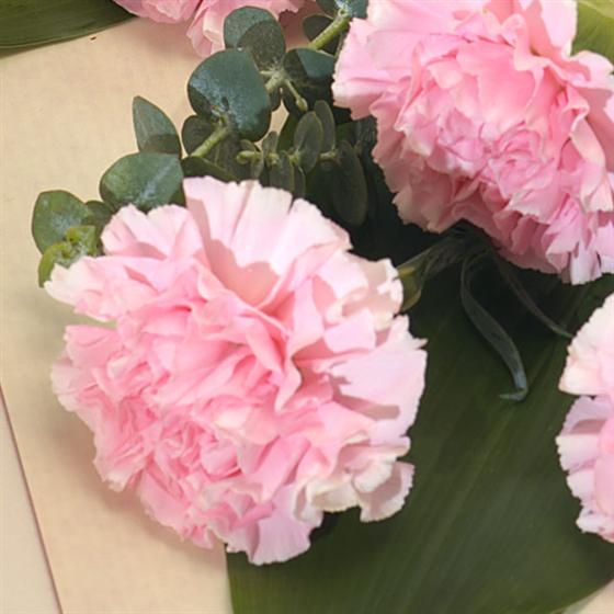 Strawberry Shortcake