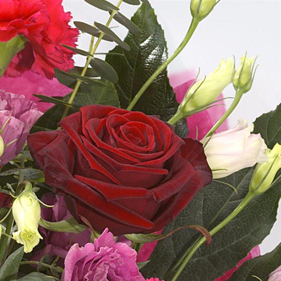 Truly, Madly, Deeply