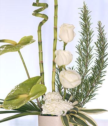 Florist Choice Container Arrangement