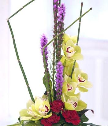 Opulent Orchids