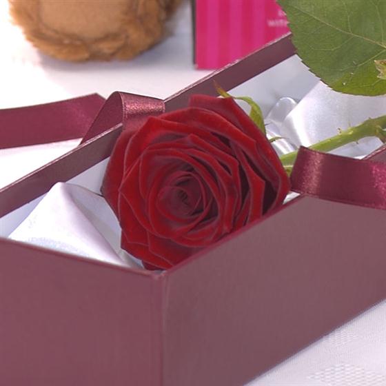 Perfection Luxury Gift Set