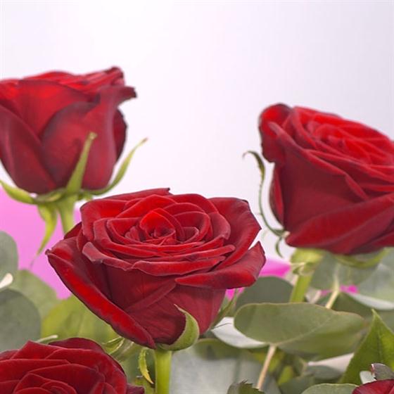 Be Mine Chocolate Gift Set