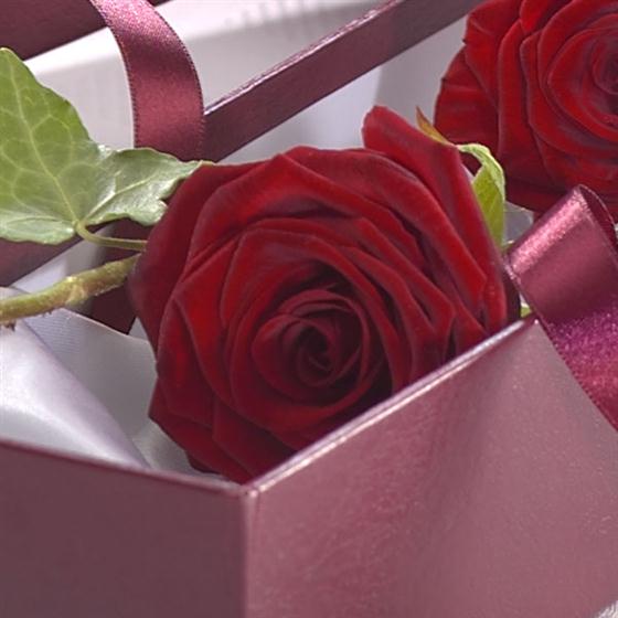 I Love You Chocolate Gift Set