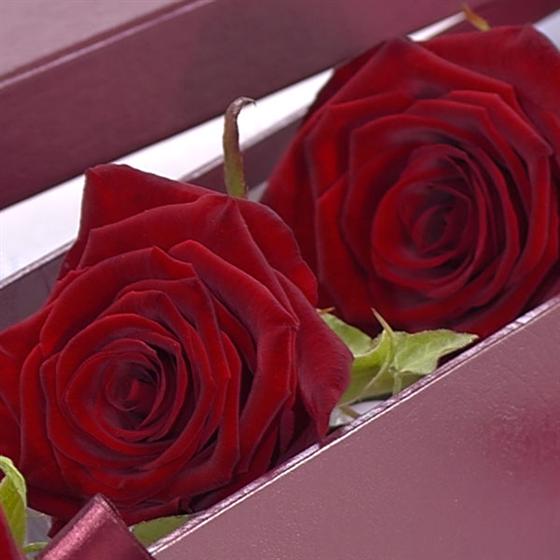 I Love You Chocolate Gift Set