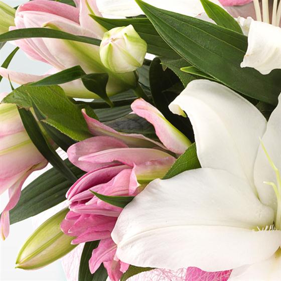 Lovely Lilies