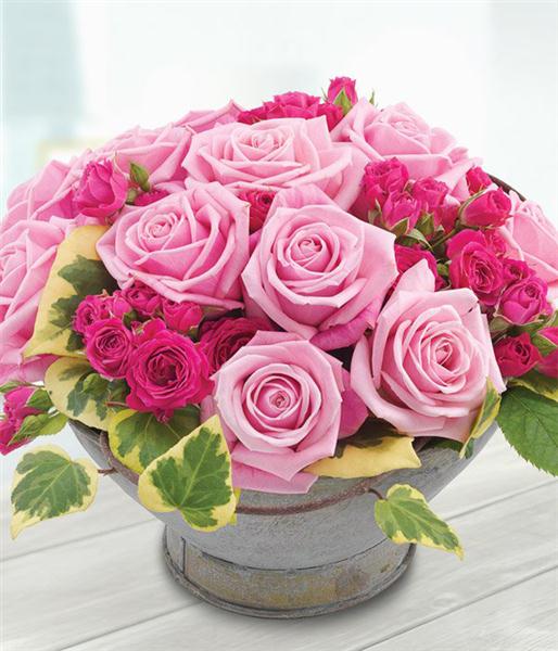 English Country Garden