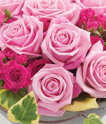 English Country Garden