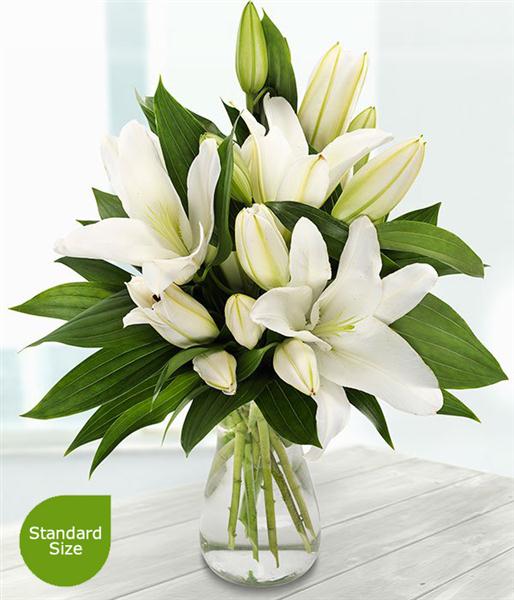 Pure White Lilies