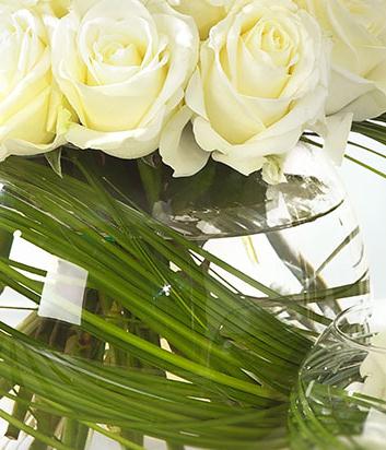 Welcome to the World