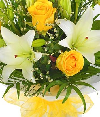 Yellow Rose & Lily